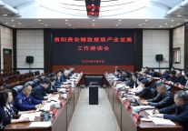 王宏主持召开贵阳贵安精致旅居产业发展工作座谈会