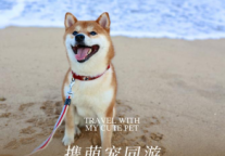 三亚海棠湾万达嘉华度假酒店解锁宠物友好新模式 携宠度假更具温度