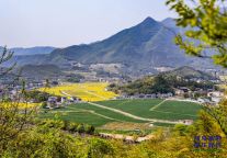余杭区优质文旅项目招商