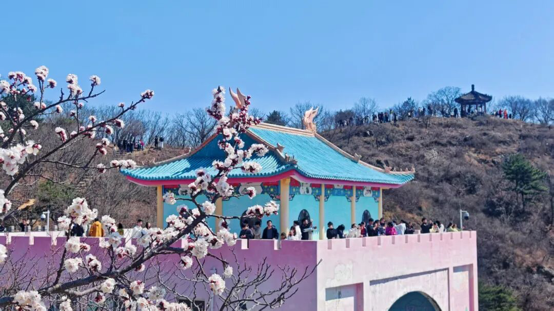 清明雨霁赴一场长城与春日的浪漫之约！