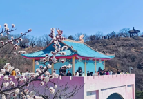 清明雨霁赴一场长城与春日的浪漫之约！