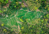 戴旭强专题研究部署雁荡山旅游高质量发展工作