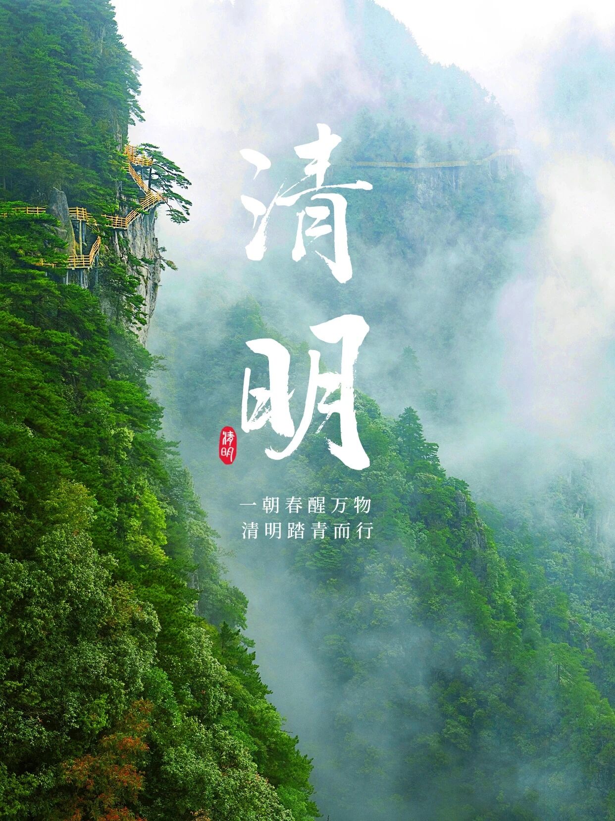 清明踏青正当时｜来明月山景区看“醉”美春色！