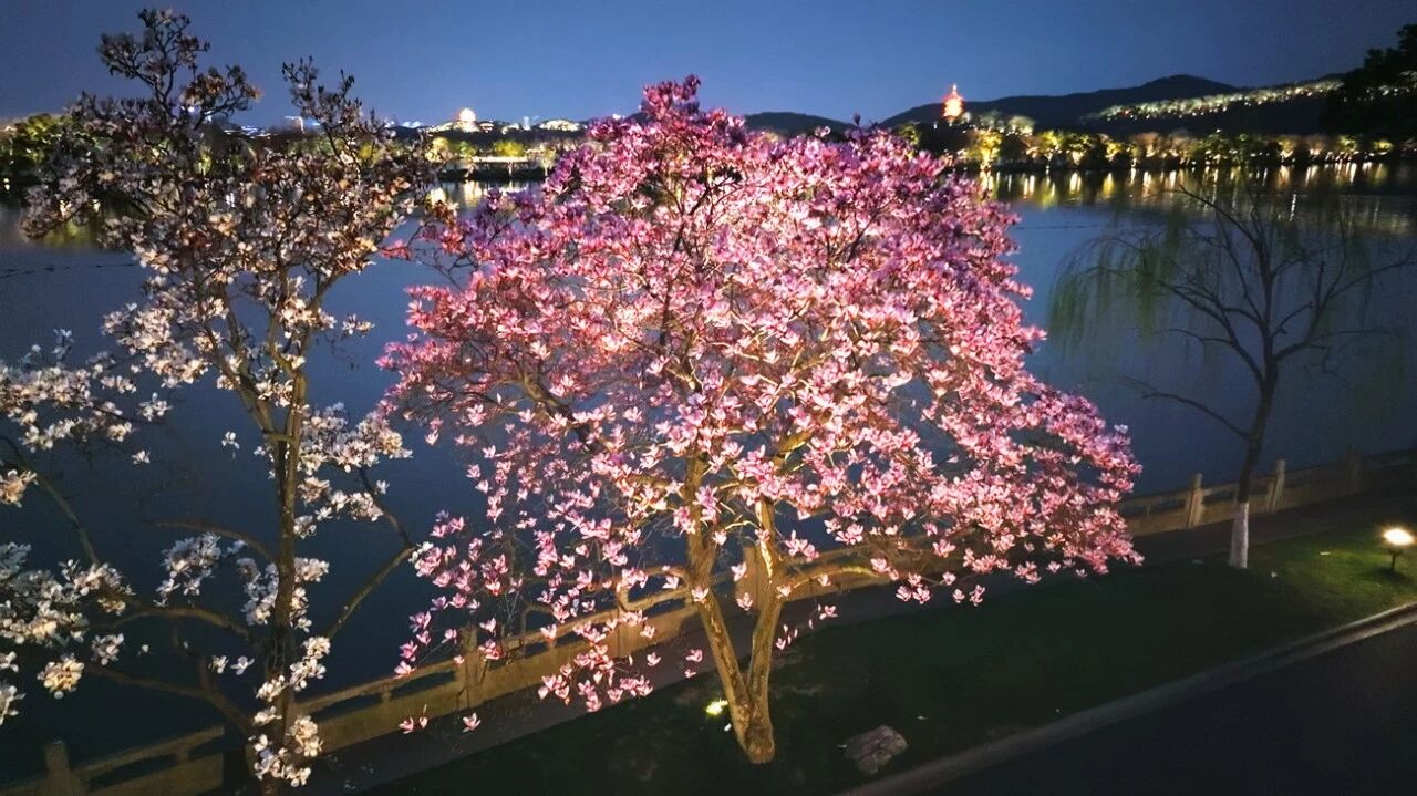 微信图片_2026-07-28_210258_116.jpg