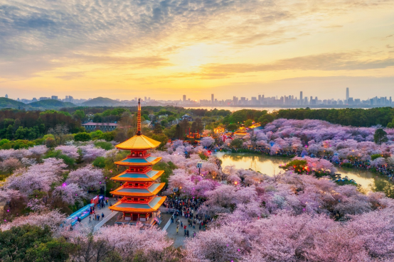 9-2 会员日 繁花231.png