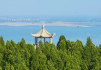 东平湖文旅通小程序｜春日惠游季 四重福利重磅来袭