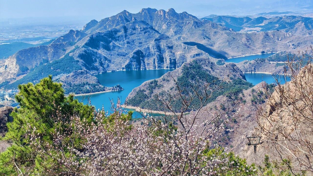 以春为名，许你一场季节限定的浪漫
