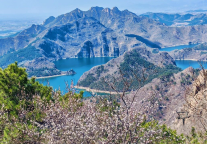 以春为名，许你一场季节限定的浪漫