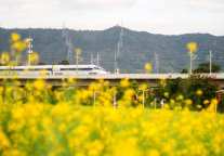 美团旅行发布清明假期出行趋势：春假带动省外游，95后反向出游涌入宝藏小城