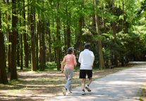 企查查：国内现存露营相关企业28万家