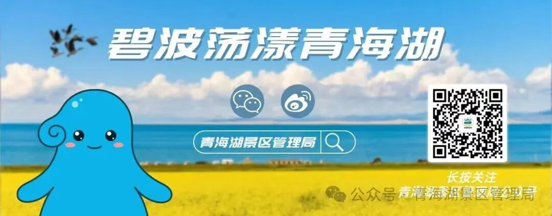 微信图片_20250303150531.jpg