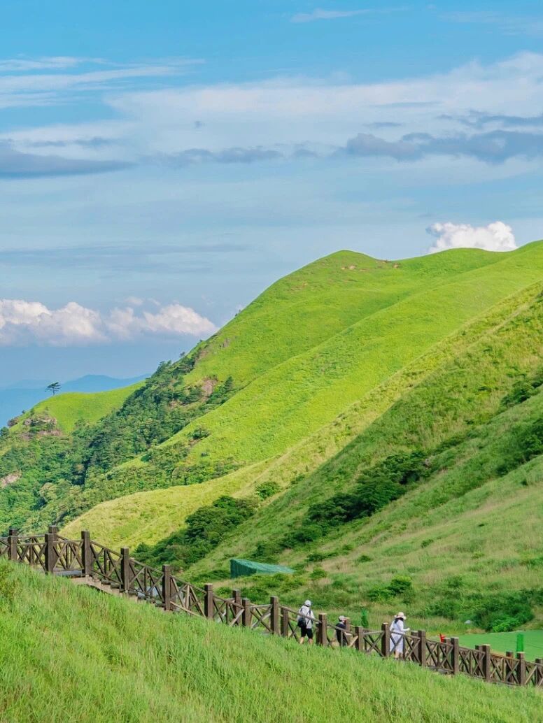 武功山景区跟拍向导上线啦奔赴山野，情感出行～