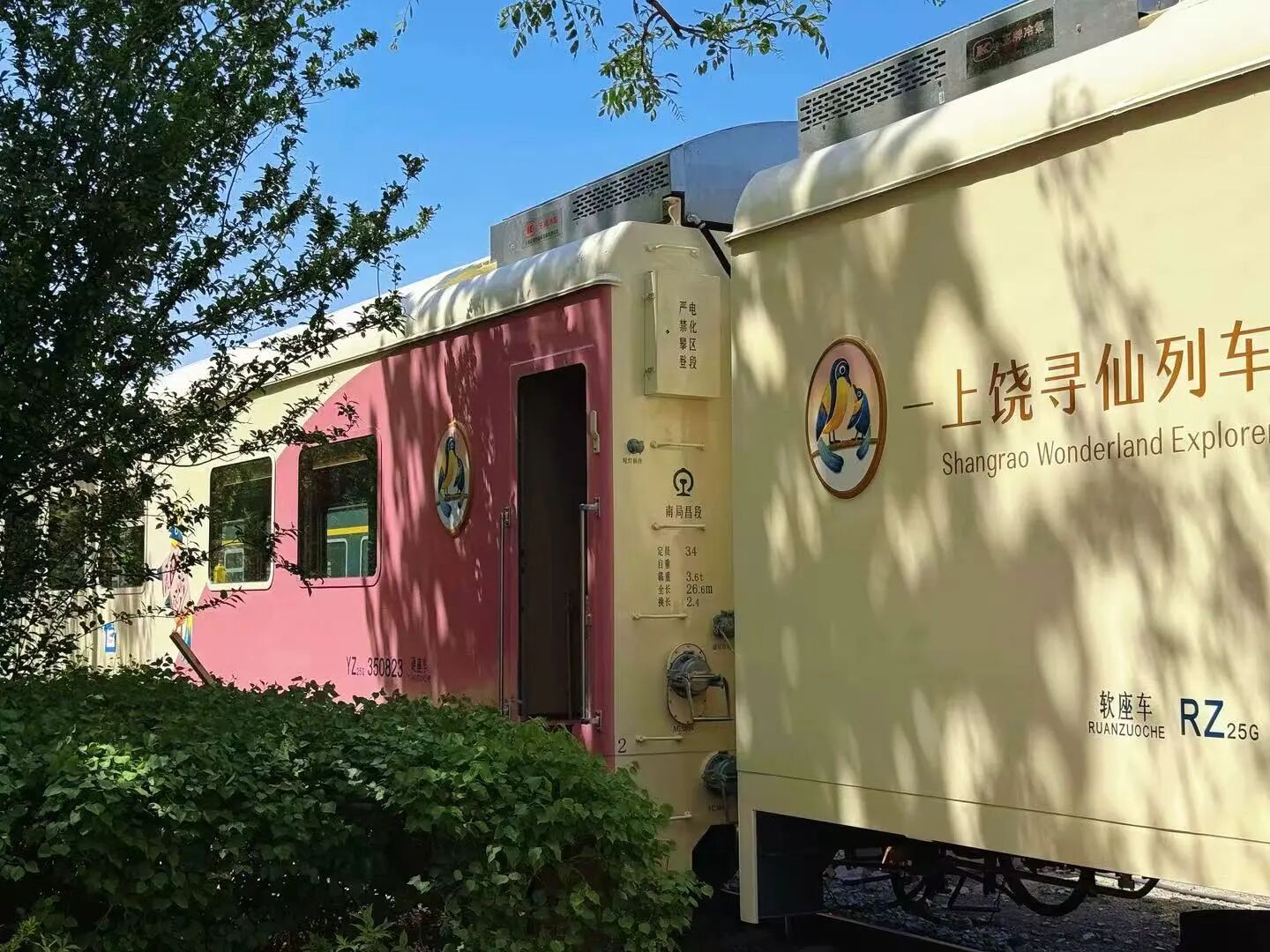 上饶寻仙观光旅游列车‖5.1龟峰首发，赴一场穿越亿年的山水之约！