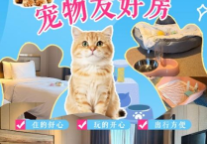 蚌埠富力万达嘉华酒店  创新房型满足多元需求，打造个性化住宿体验