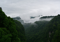 祥源文旅：推进雅安碧峰峡夜游产品打造