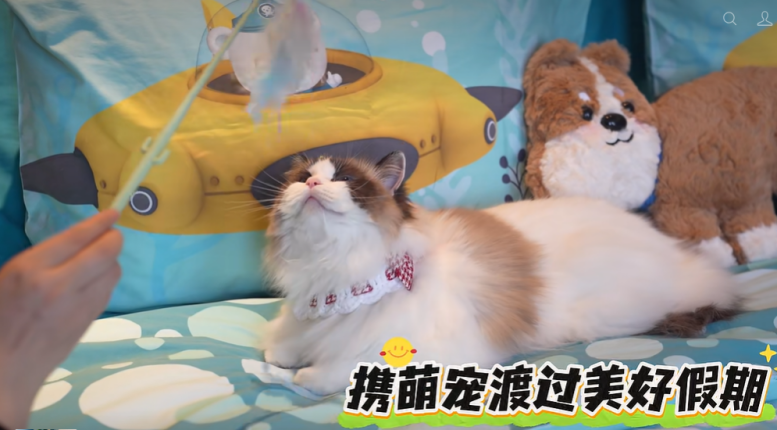 图片 5.png