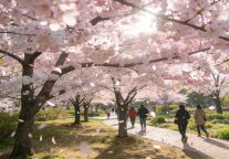  宝山春日新驿站｜贝壳酒店（富锦路地铁站店）温暖启幕