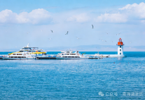 青海湖景区生态研学一日营｜探秘圣湖・观鸟识鱼・守护自然，出发！