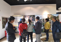 探索地质奥秘，共绘绿色地球|雁荡山博物馆举办世界地球日系列主题活动
