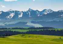 “渝见吐鲁番・甜蜜新起点” 推介会在渝举行，签约金额205.4亿元