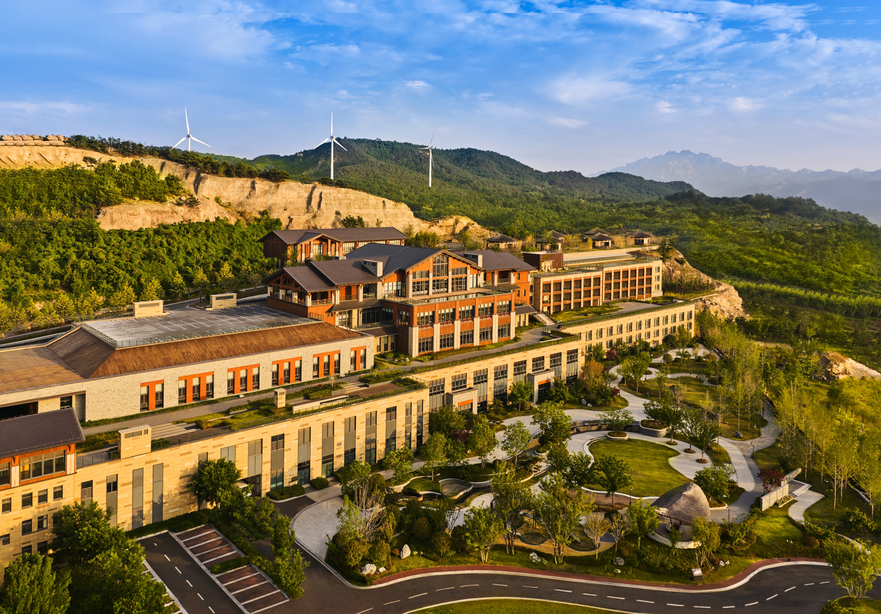 Curio Qingdao石灿.jpg