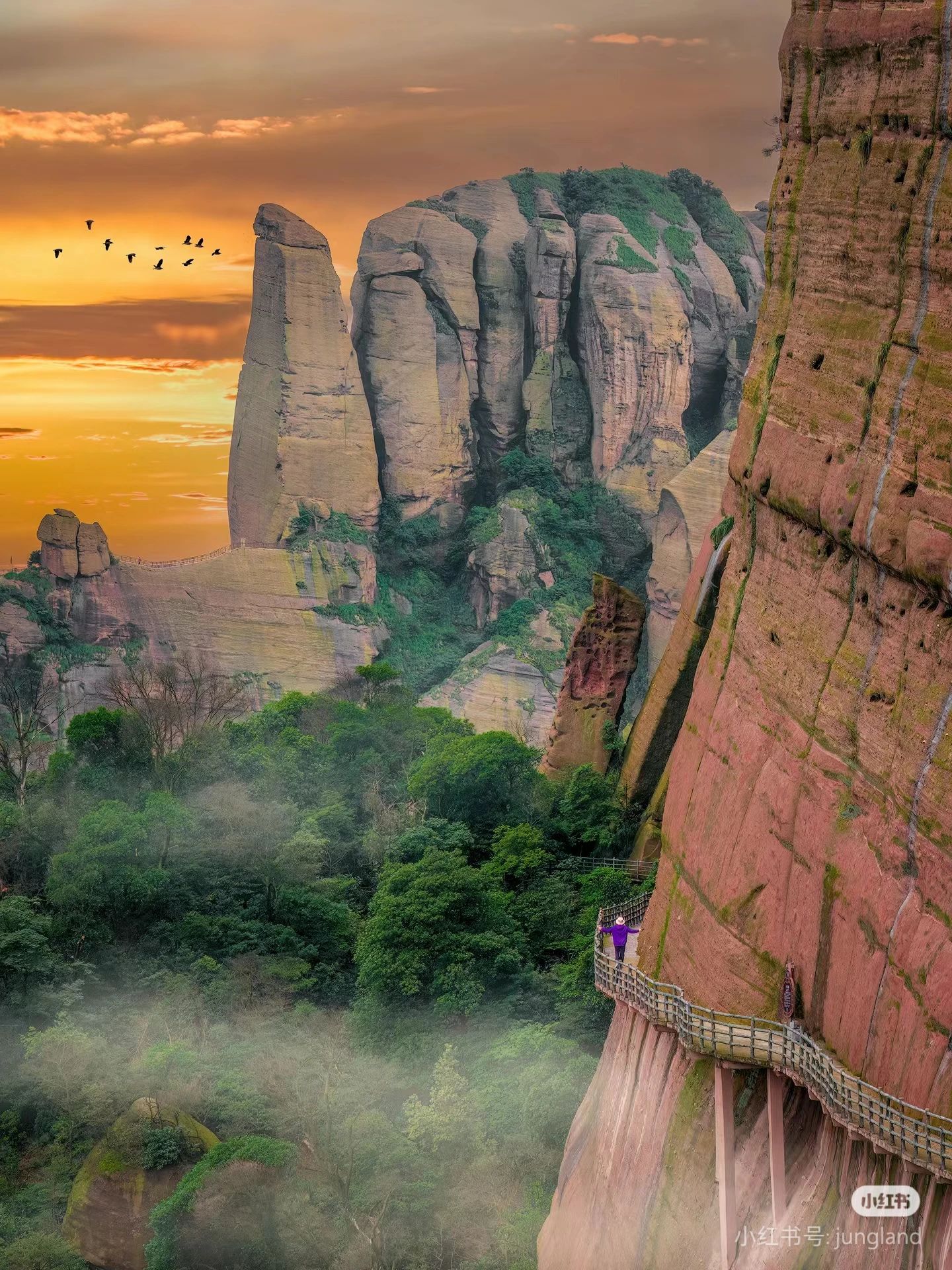 别等结束才后悔！龟峰景区全国免票最后1天，溯溪避暑+超多活动速来