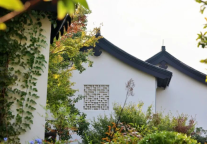 宁波君澜理 × 杭州湾国家湿地公园芦花季｜一院宋韵，千顷芦花