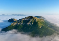 一眼绿色｜赴东平湖景区，撞进漫山漫水的青绿天地