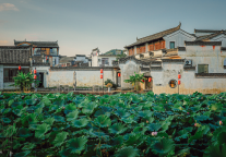 文旅人年底时间紧，参加什么活动才不会白跑一趟？