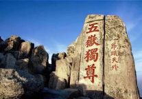 扁担未歇，科技上新！机器狗、履带车为“泰山美容师”减负增效