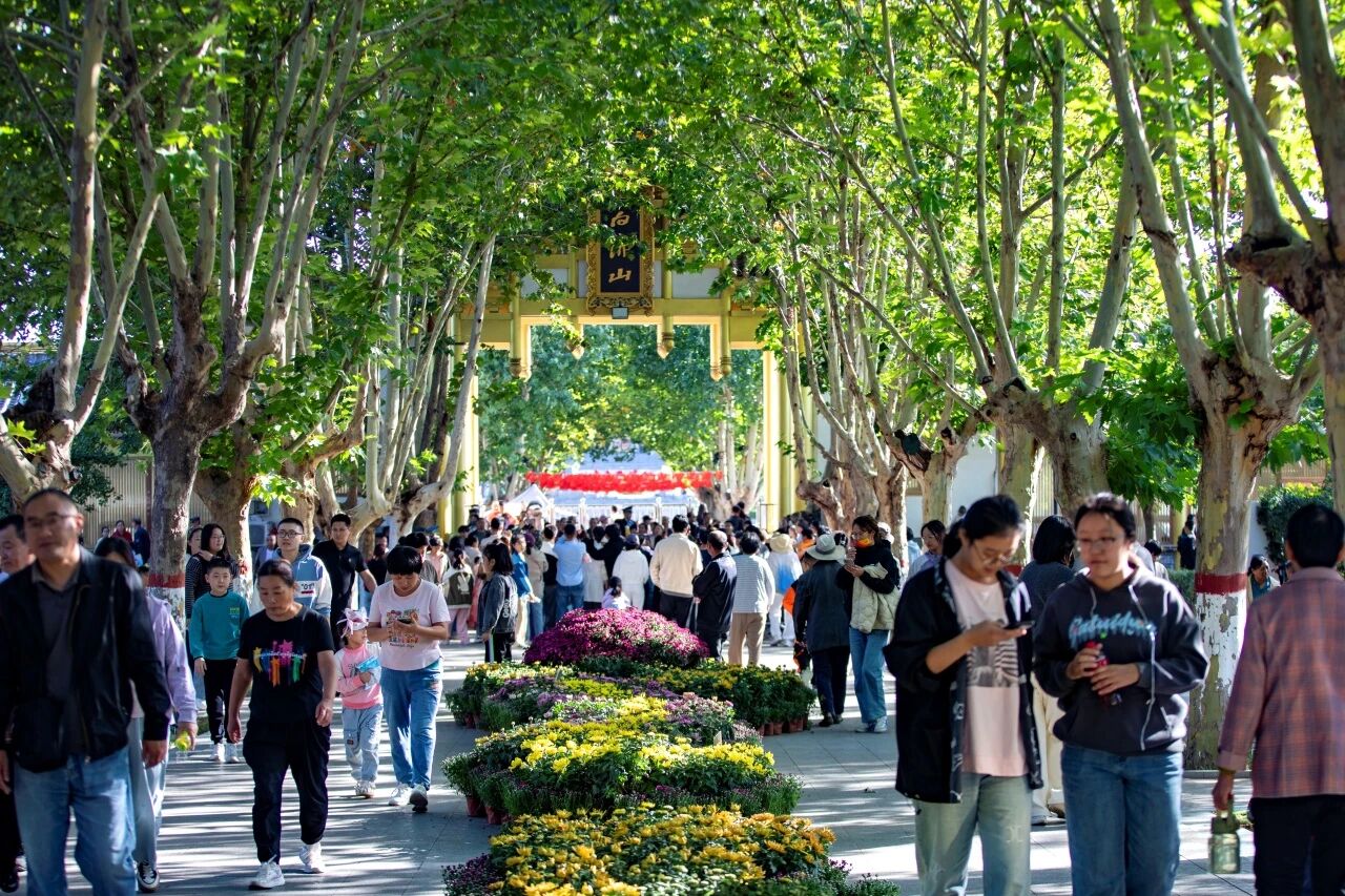 喜报｜东平县新晋上榜！2026年7月中国县域旅游传播力成长潜力TOP100