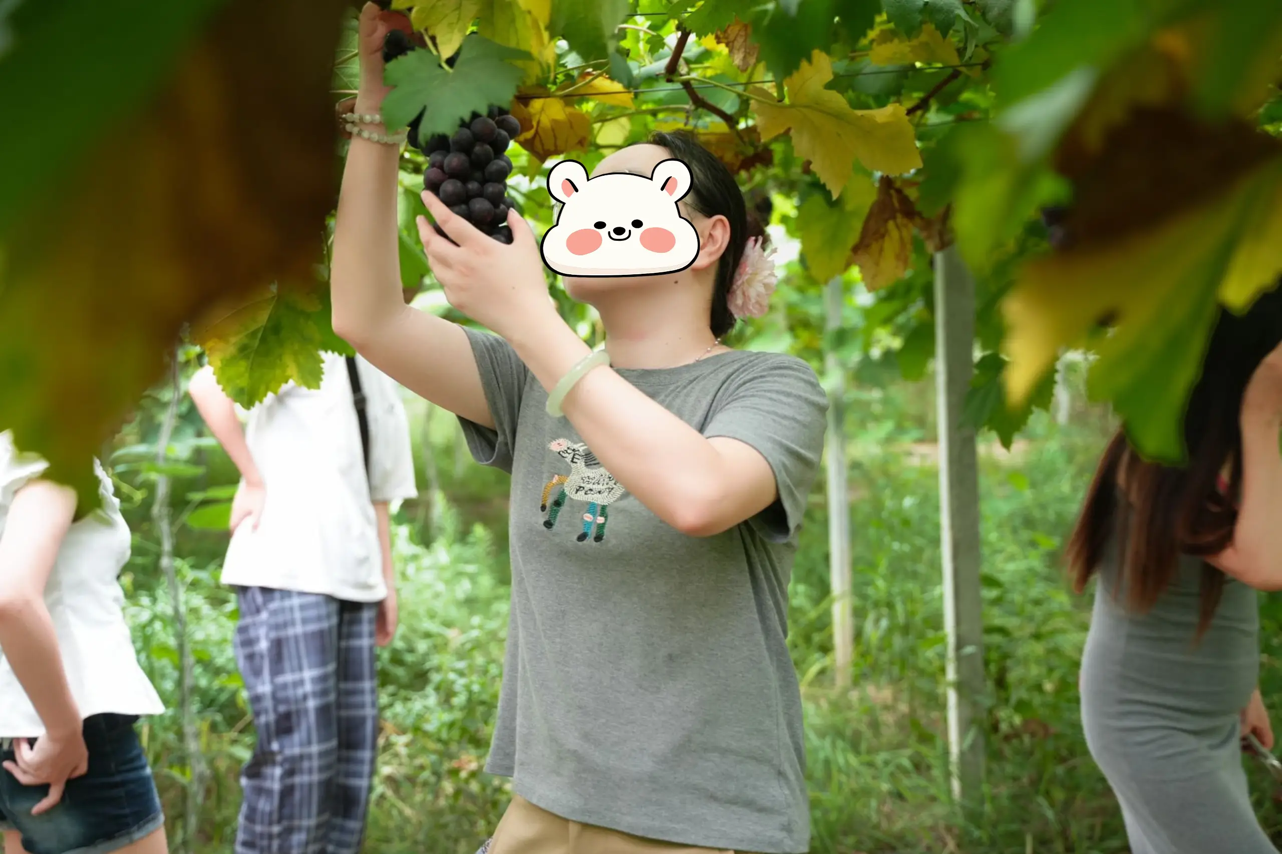 微信图片_20260928113541_36_2.png
