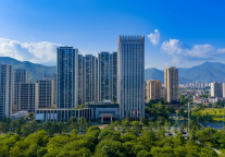 一茶一艺一席宴丨在宇杰君澜，邂逅仙居山水与非遗雅叙