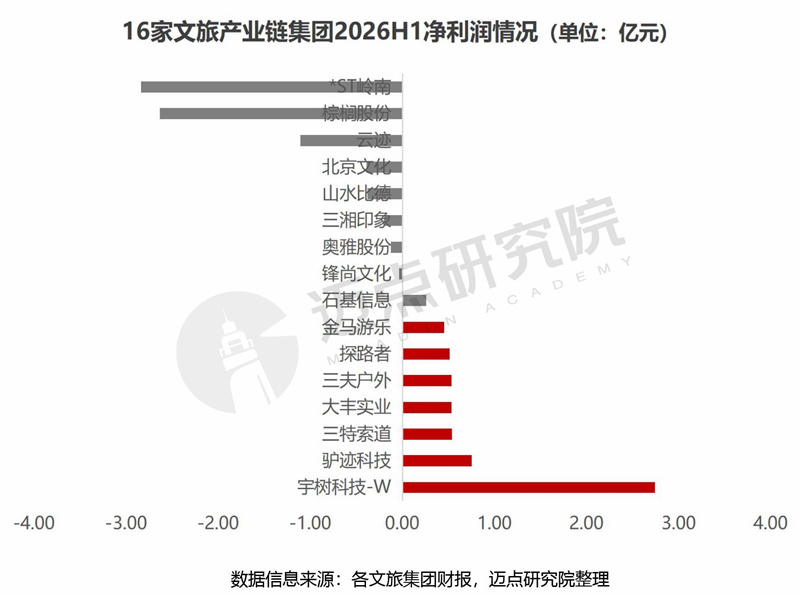 2026上半年文旅集团财务分析报告最终稿 - 副本-15.jpg