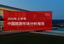 2026年上半年中国旅游市场分析报告