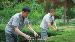 图片22.png