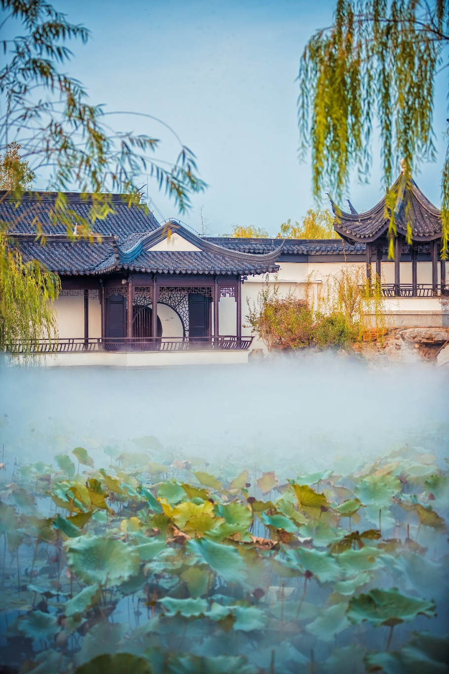 图片16.png