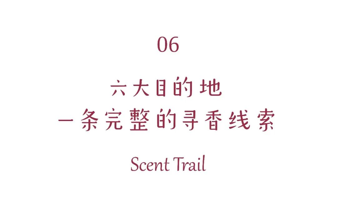 图片13.png