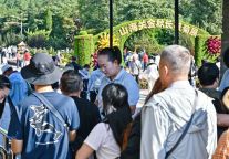2026山海关金秋长城菊展浪漫启幕