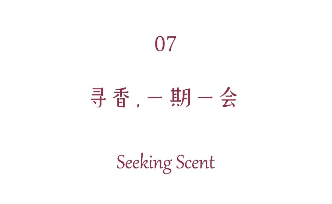 图片16.png