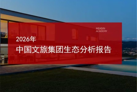 2026年中国文旅集团生态分析报告