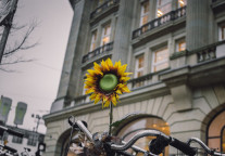 2018年华强方特营收首次超过40亿元 旗下哪家乐园最能赚？