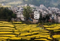 途牛发布《2019清明小长假旅游消费报告》
