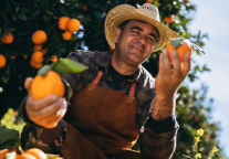 苦根还是甜果？为什么实现酒店营销自动化如此之难