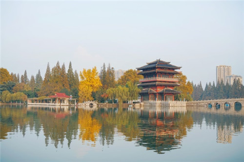 摄图网_501165706.jpg