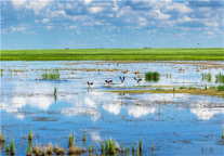 新店速递|白玉兰呼伦贝尔中央大街酒店开业