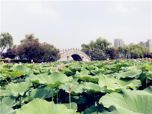 图片11.png