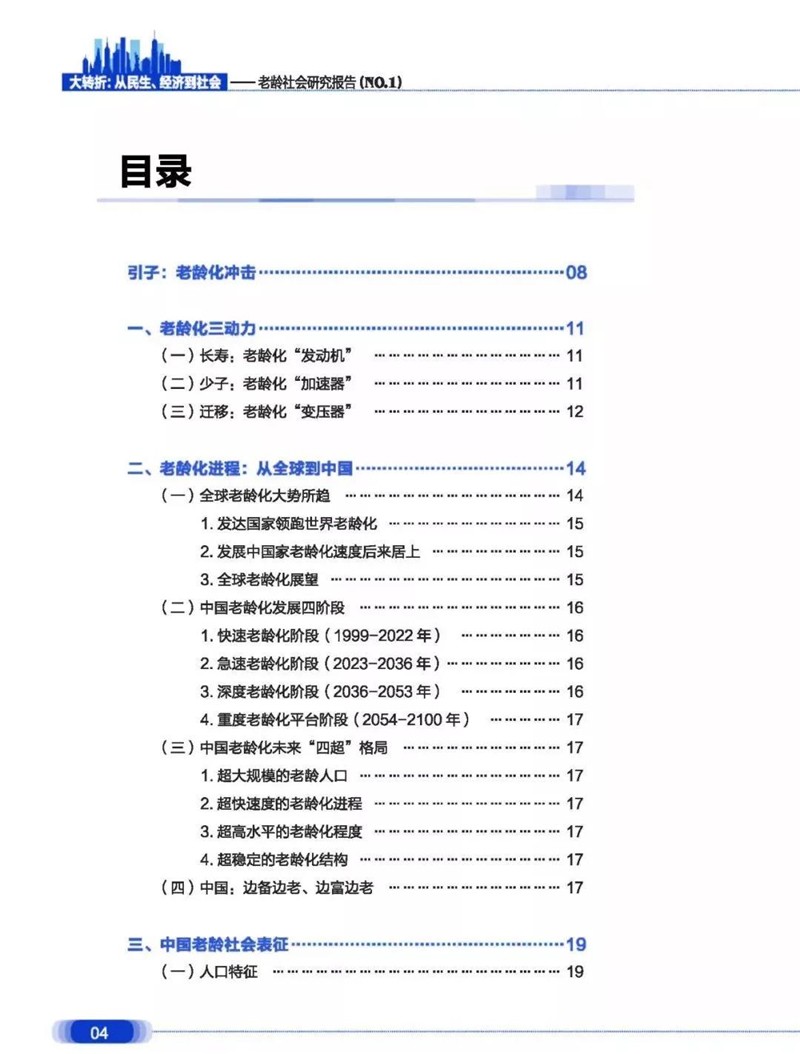 2019年人口年龄结构_猪年出生人口会不会增多 对未来人口及人口政策的展望(3)