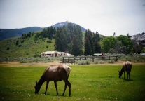 游客访问量全美前五 从黄石公园看打造国家公园的5大要素