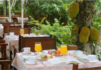 融于自然的饮食，在七仙岭君澜畅享热带雨林慢生活